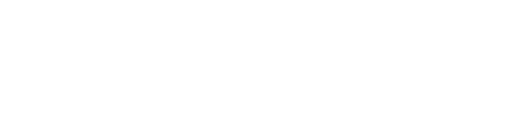 Brady PAC logo